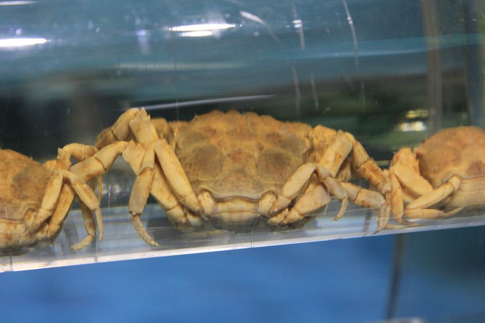 意昂体育4安全通道
