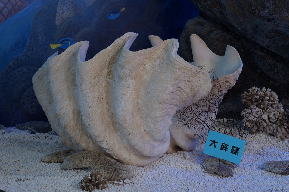 意昂体育4官方指定端
