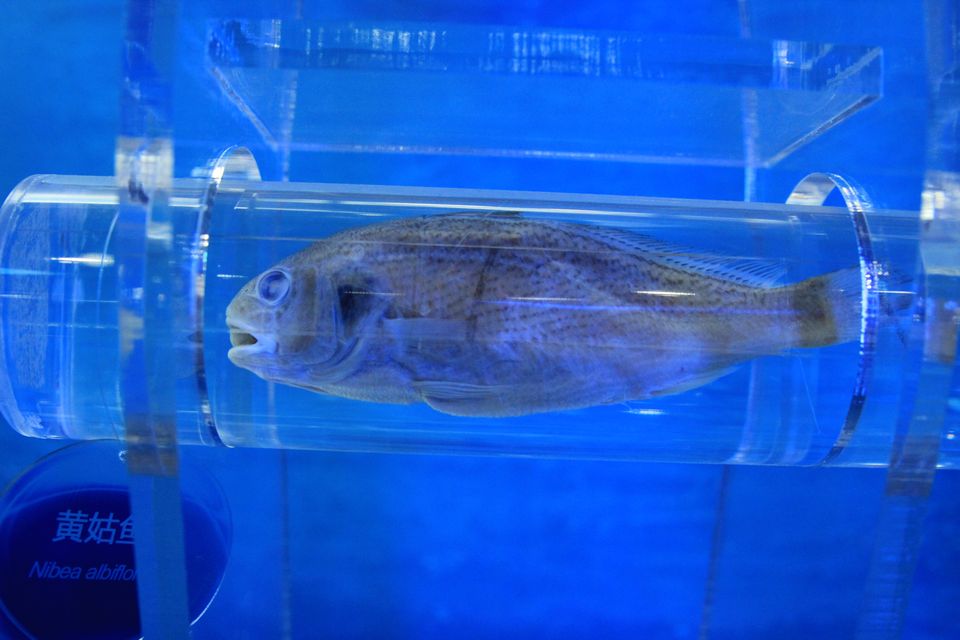 意昂体育4超级联赛