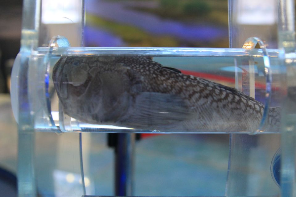 意昂体育4官方指定端
