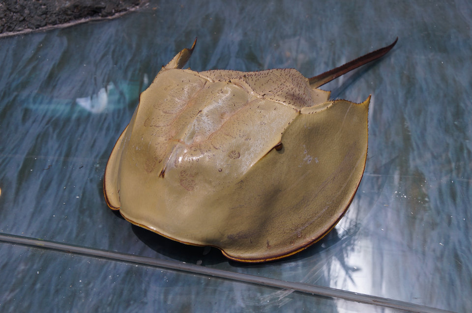 意昂体育4互联系统