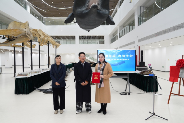 意昂体育4超级联赛
