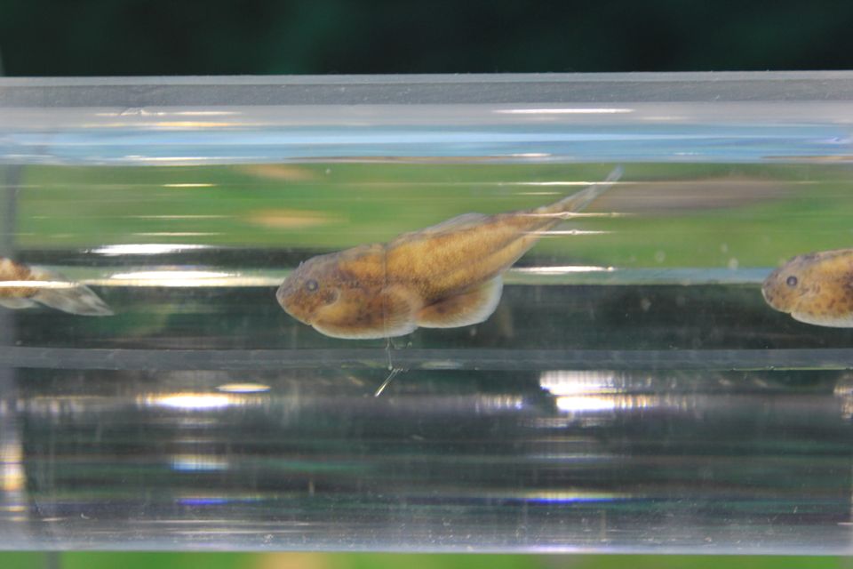 意昂体育4官方指定端