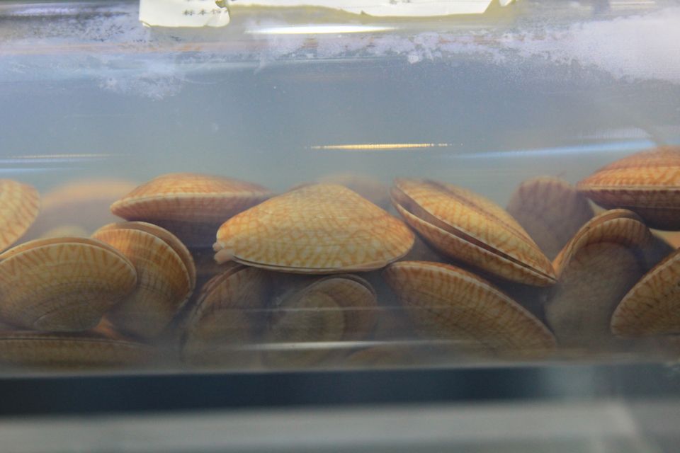意昂体育4欧冠直播