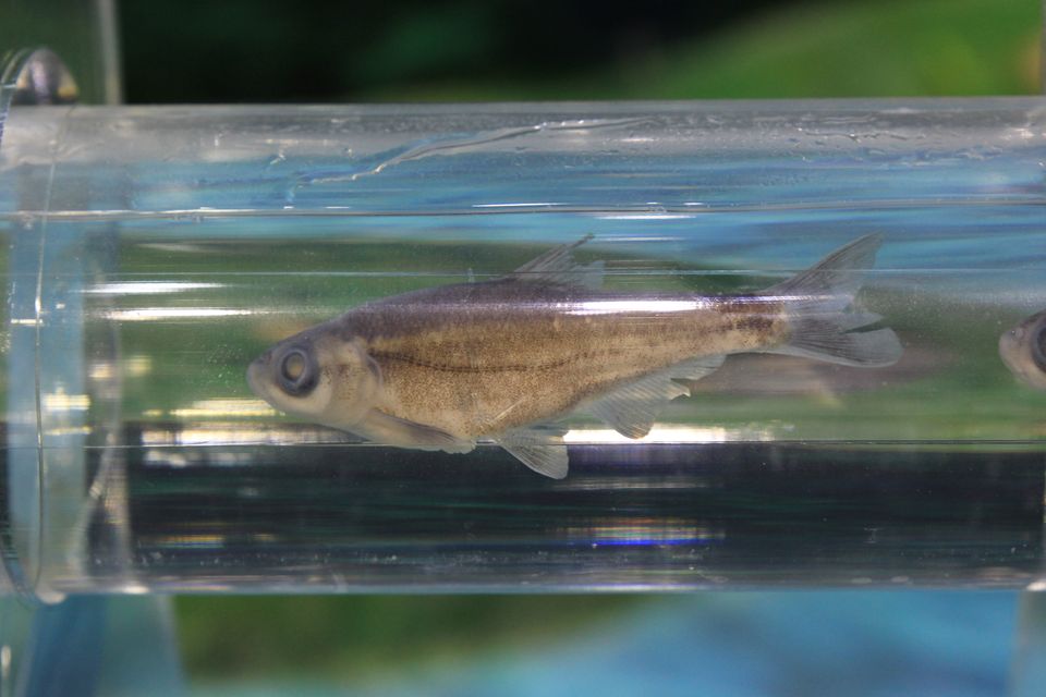 意昂体育4核心通道