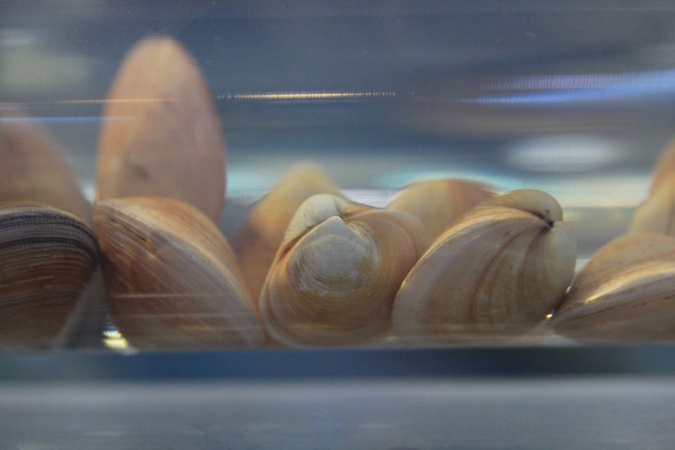 意昂体育4指定入口