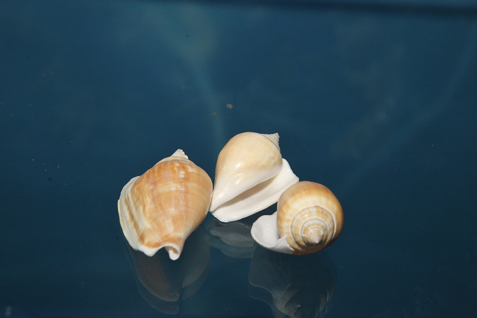 意昂体育4备用网址