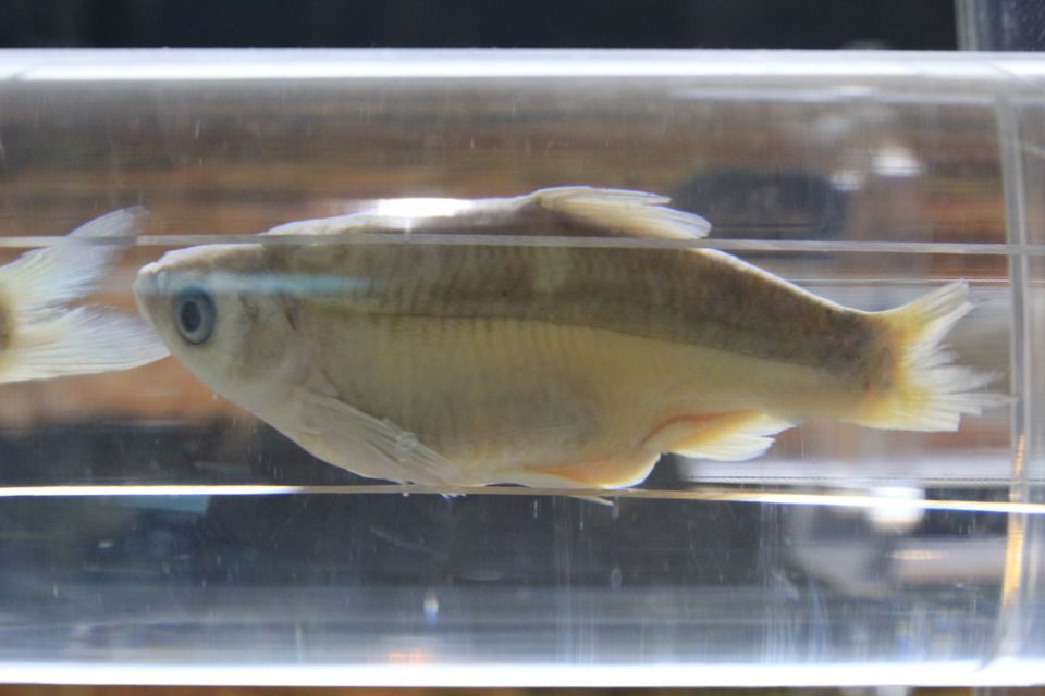 意昂体育4稳定线路