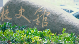 意昂体育4加速节点