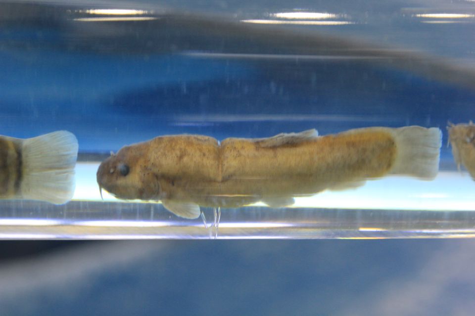 意昂体育4赛事资讯平台