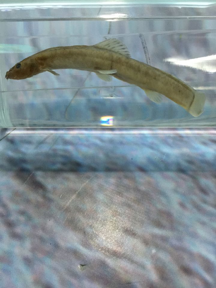 意昂体育4客户端