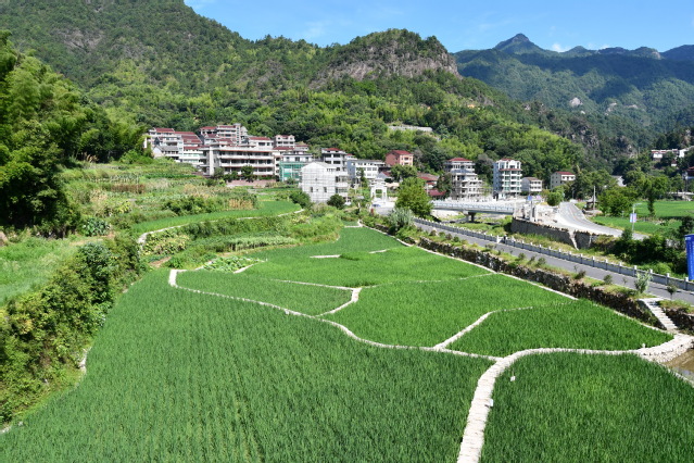 意昂体育4加速节点