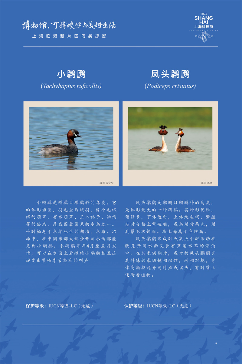 意昂体育4欧冠直播