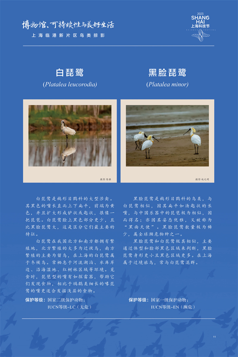 意昂体育4APP下载