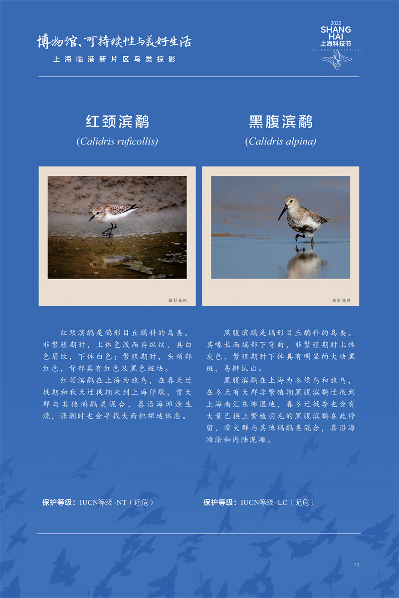 意昂体育4稳定线路