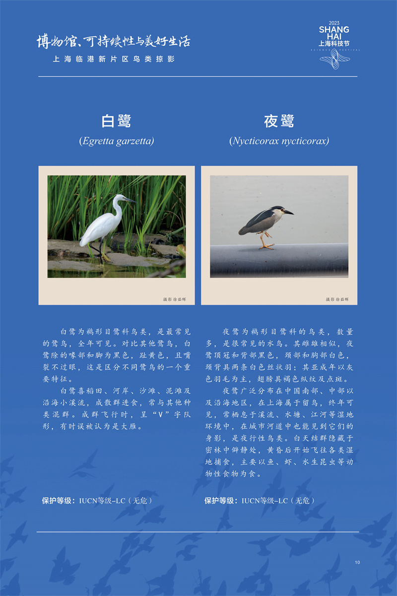 意昂体育4体育频道