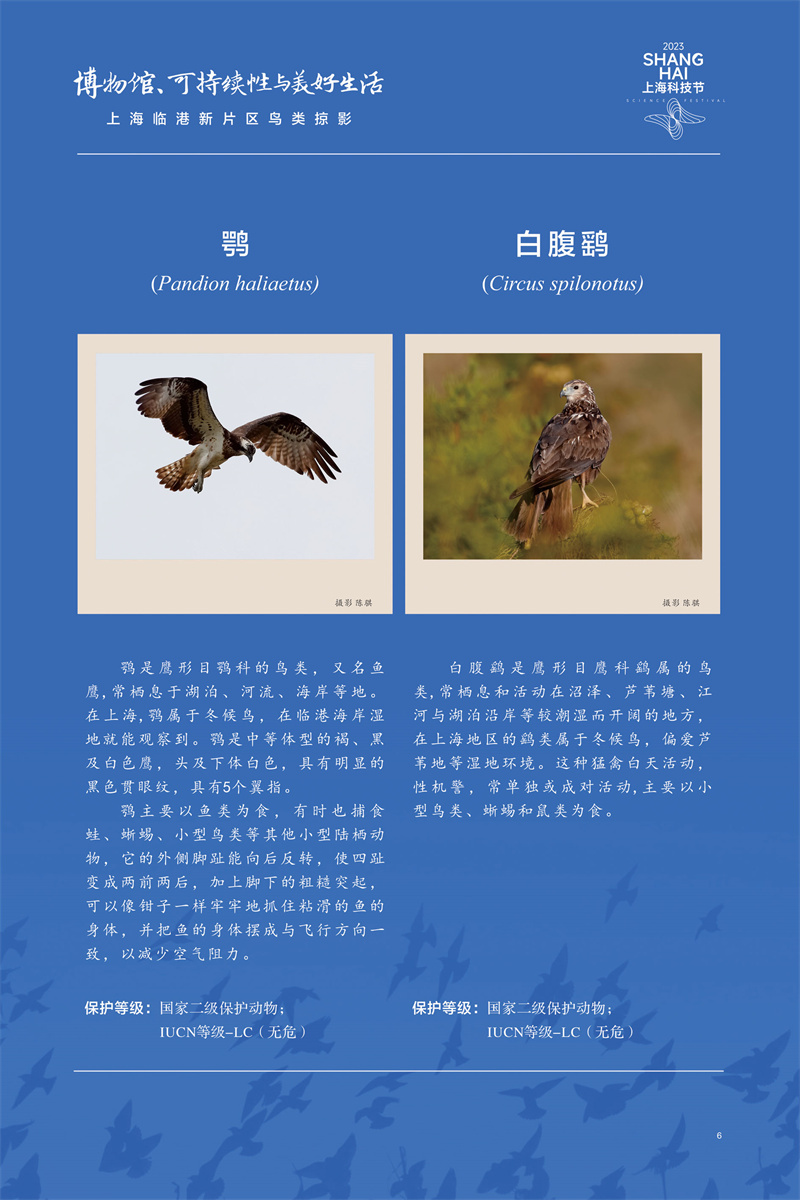 意昂体育4备用网址