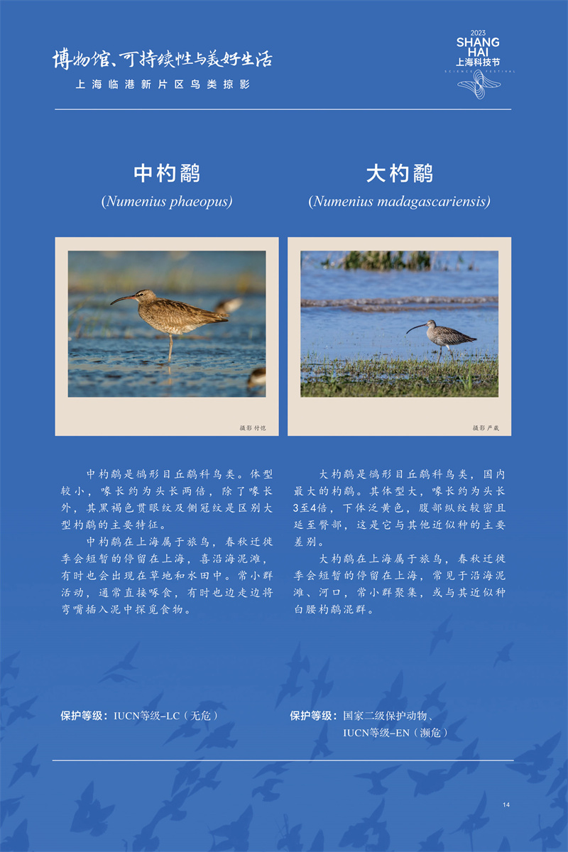 意昂体育4APP下载