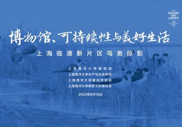 意昂体育4手机版