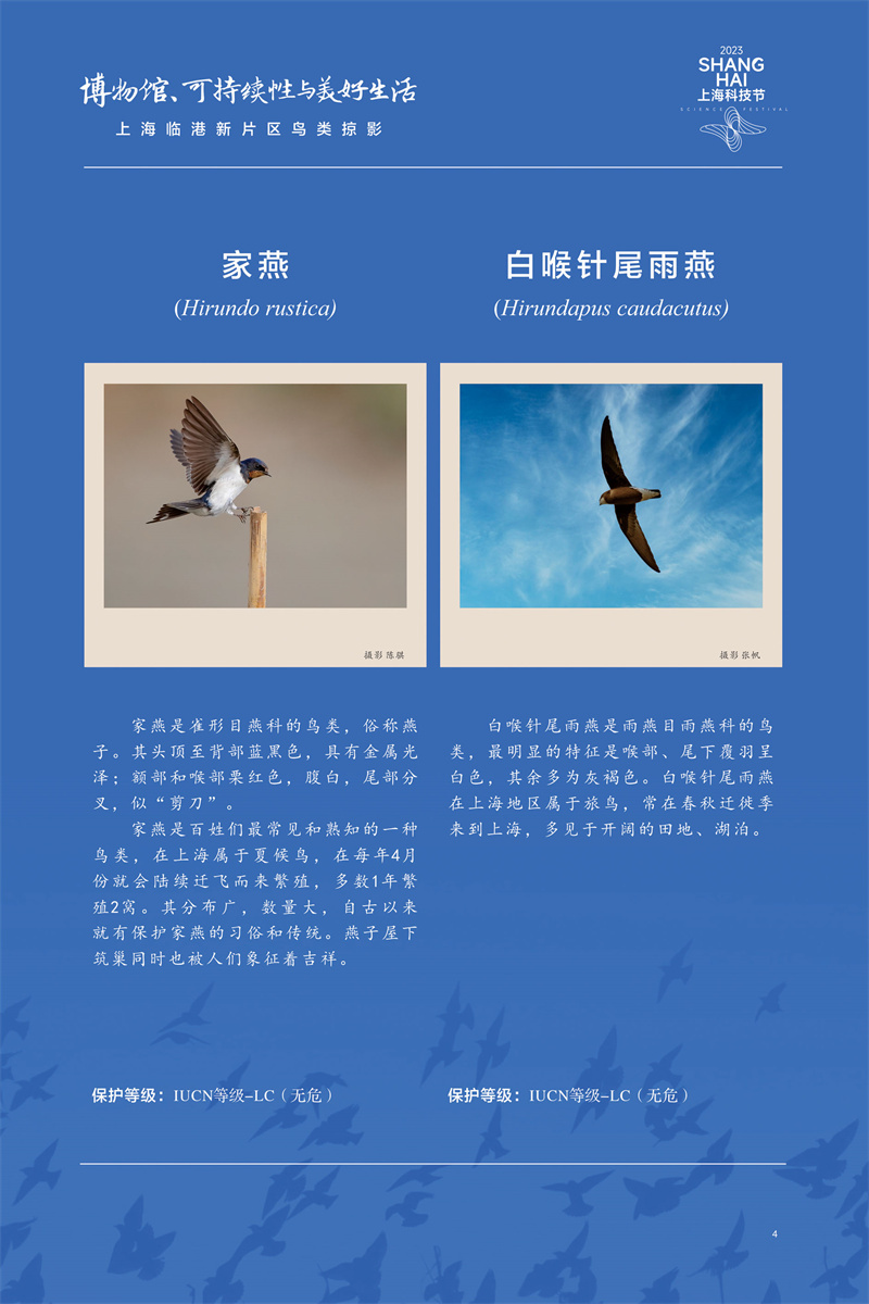 意昂体育4APP下载