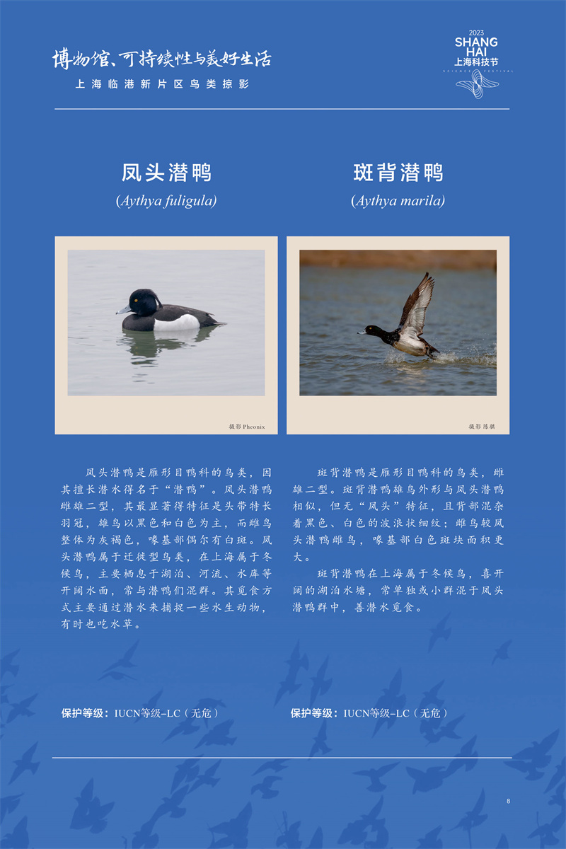 意昂体育4赛事快讯