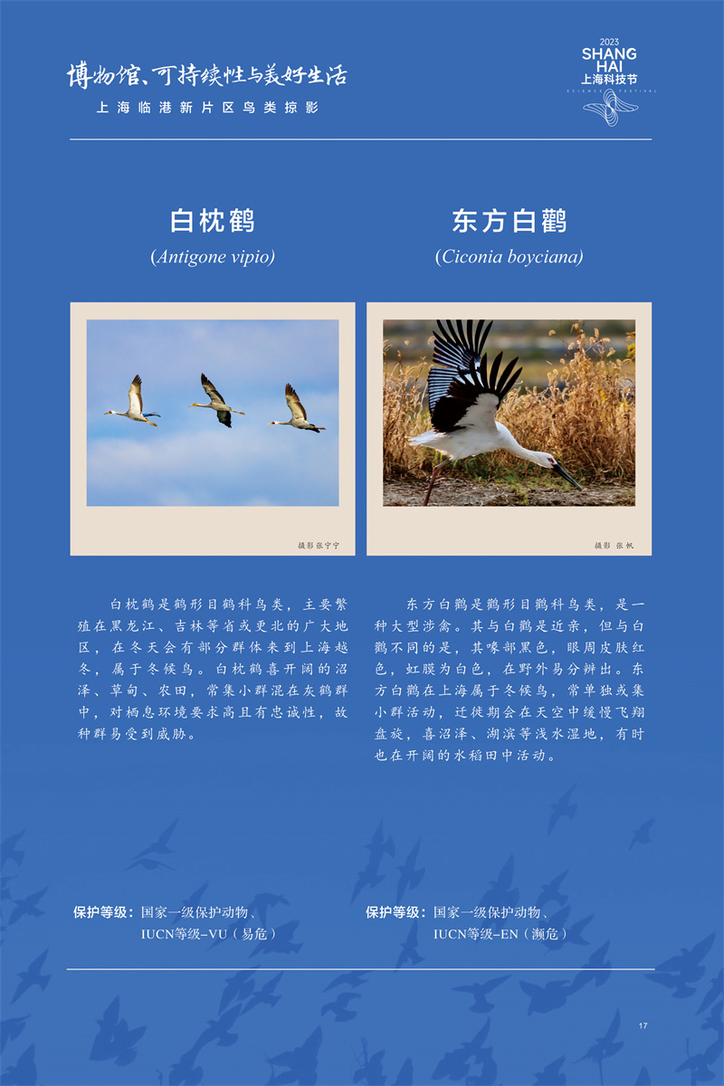 意昂体育4指定入口