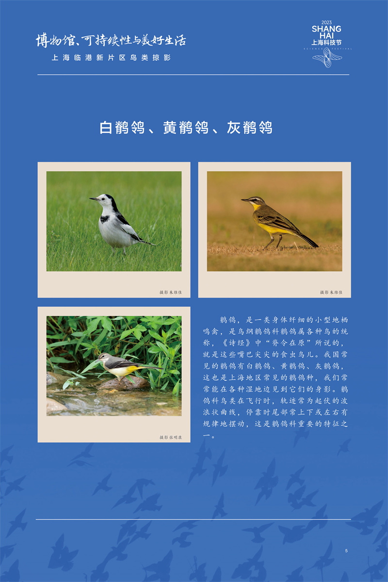 意昂体育4直播