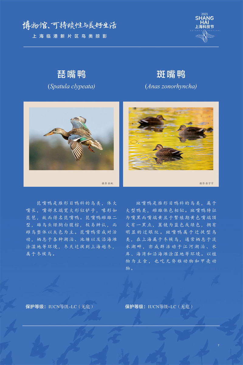 意昂体育4官方线路