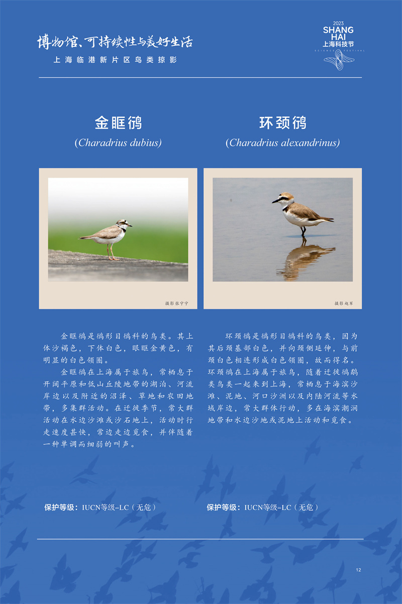 意昂体育4备用网址