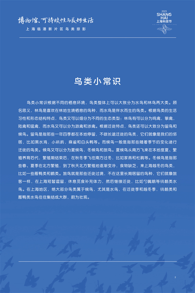 意昂体育4APP下载