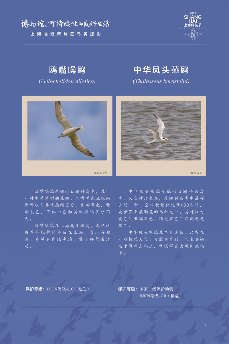 意昂体育4备用网址