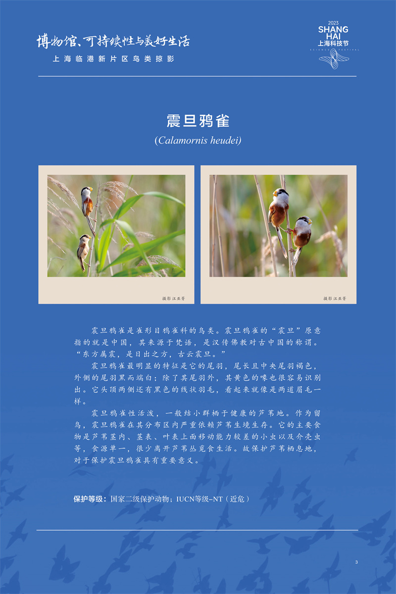 意昂体育4赛事资讯平台