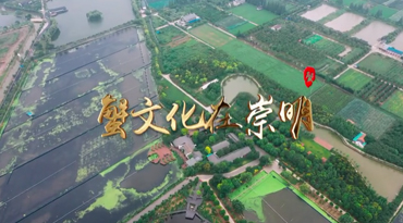 意昂体育4指定入口