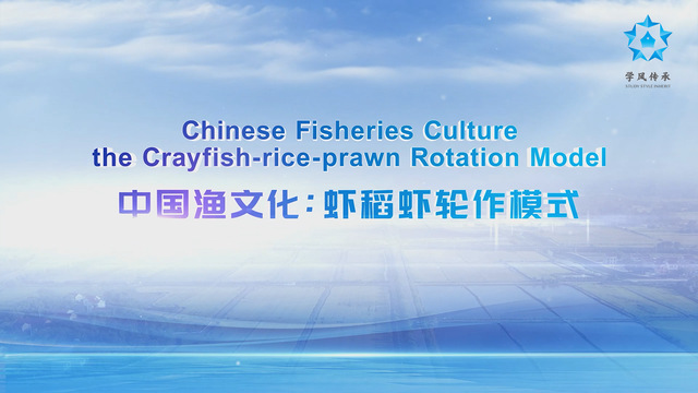 意昂体育4赛事资讯平台