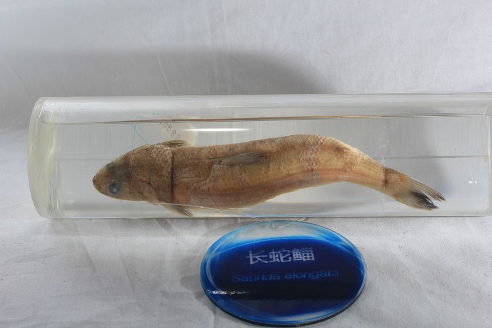 意昂体育4指定通道