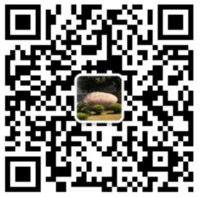意昂体育4赛事快讯