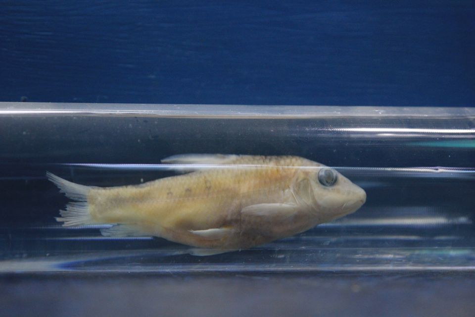 意昂体育4备用网址