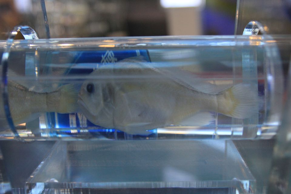 意昂体育4指定入口
