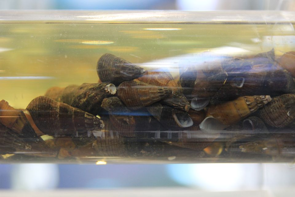 意昂体育4超级联赛