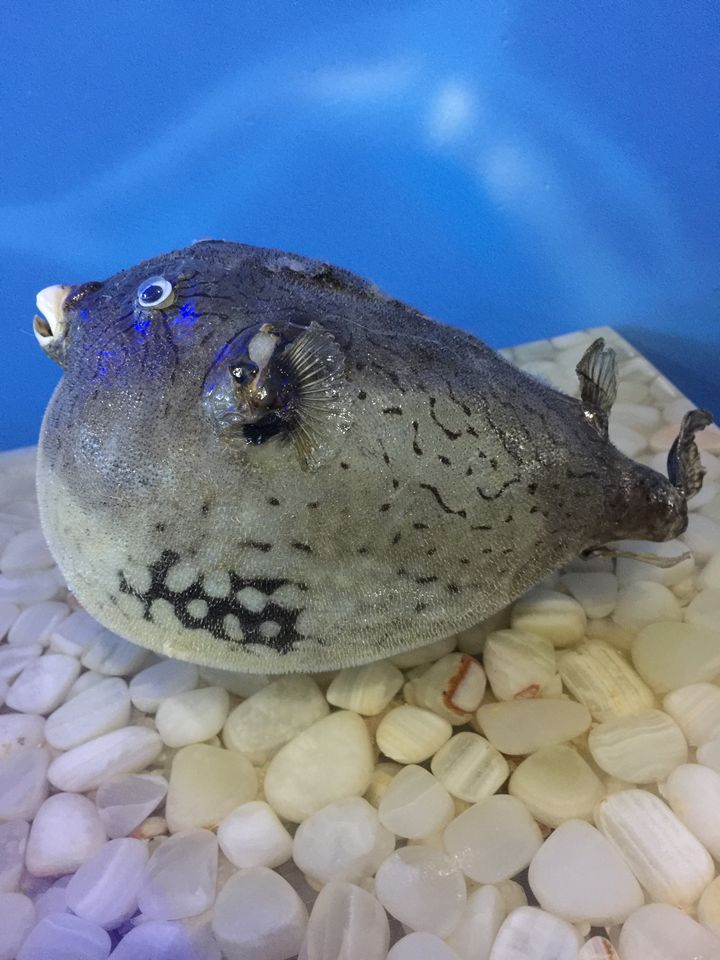 意昂体育4安全通道