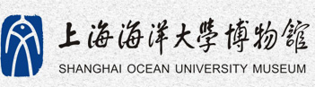 意昂体育4
